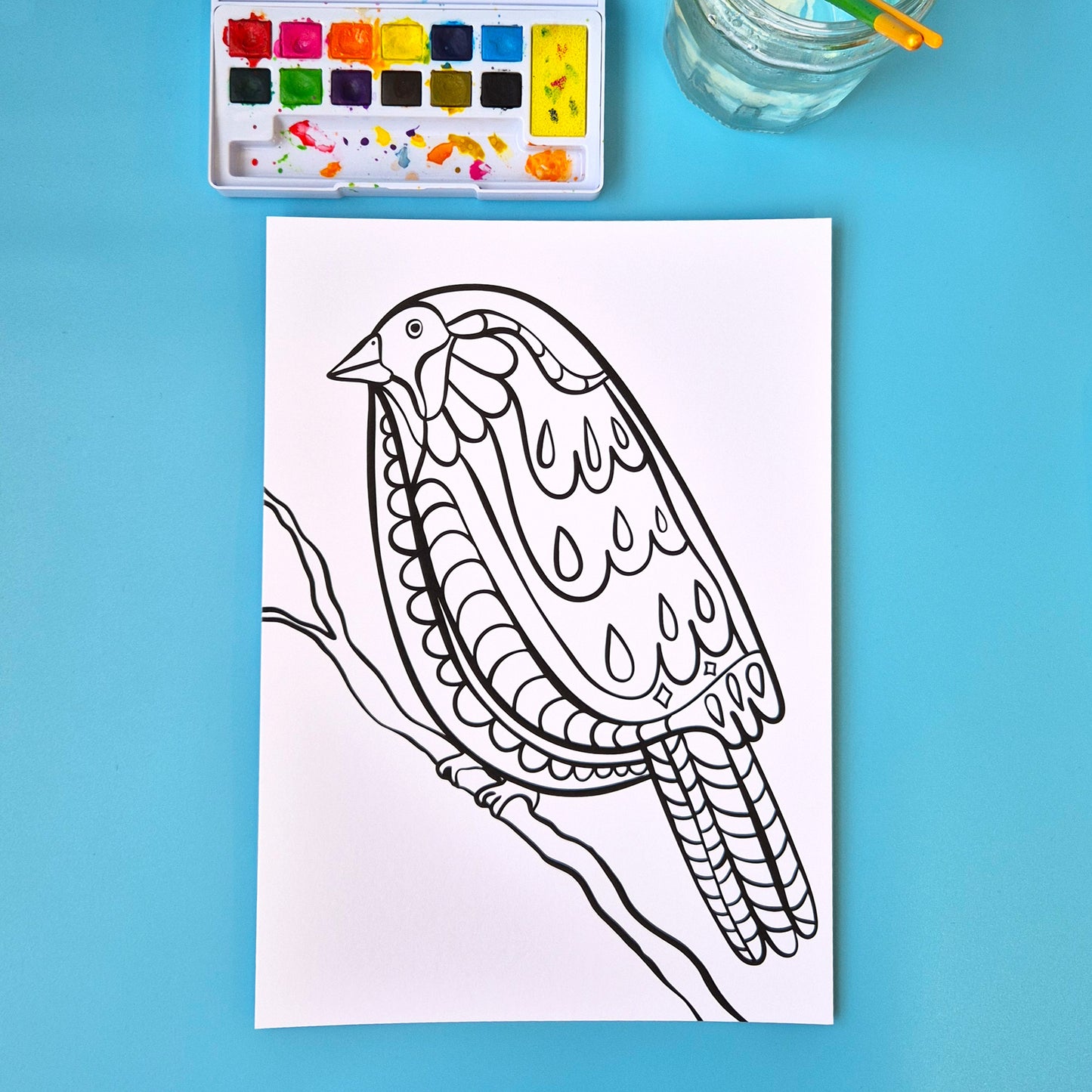 The Birds Collection - Set Of Six A4 Artworks