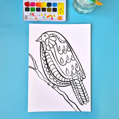 The Birds Collection - Set Of Six A4 Artworks