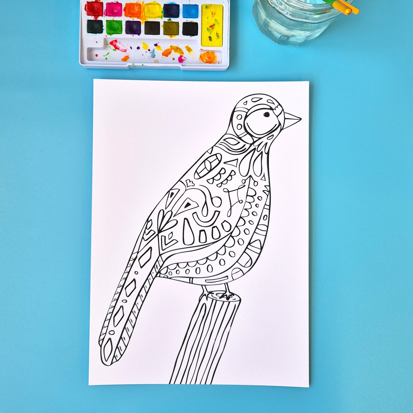 The Birds Collection - Set Of Six A4 Artworks