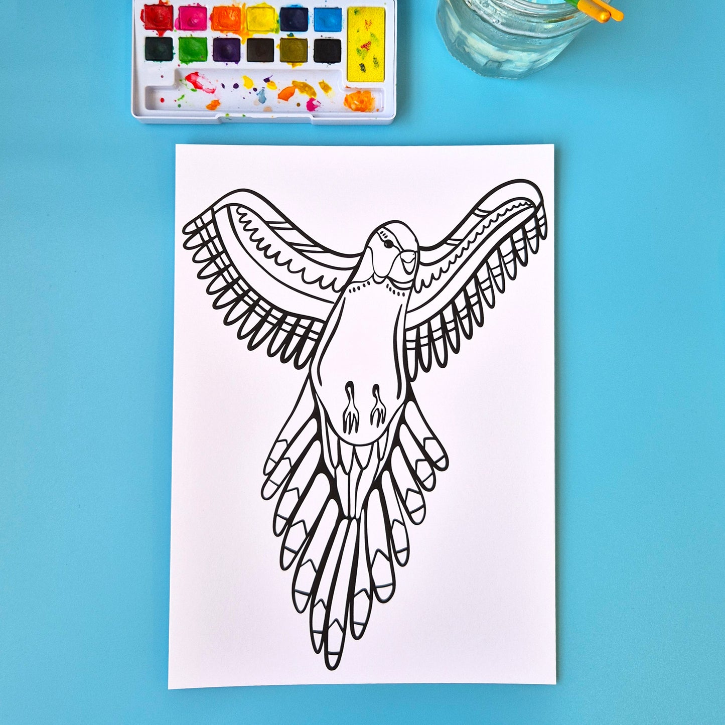 The Birds Collection - Set Of Six A4 Artworks