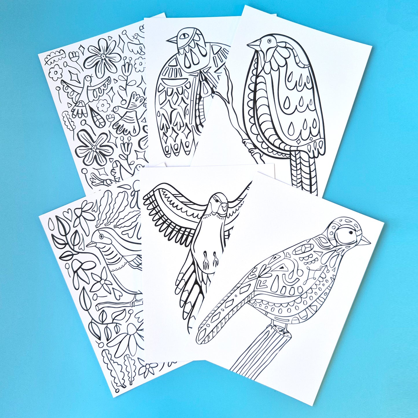 The Birds Collection - Set Of Six A4 Artworks